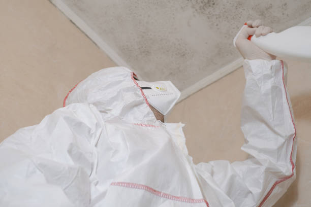 Water Damage Restoration in St Peter, MN